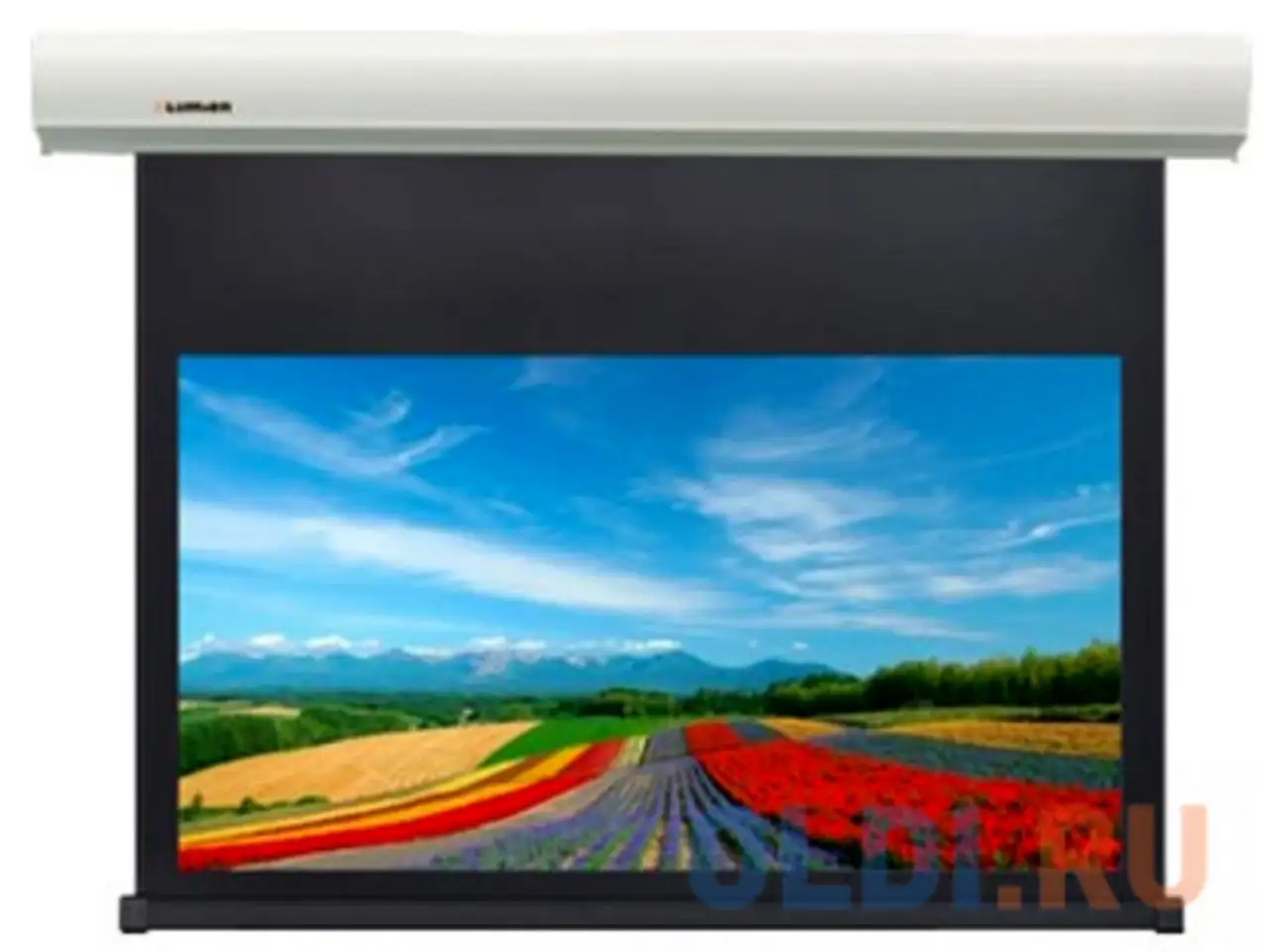 Экран моторизованный lumien cinema control 185x243 см 185x243 см, фотография 1