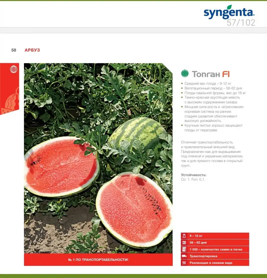 Продаем семена арбуза, фотография 11