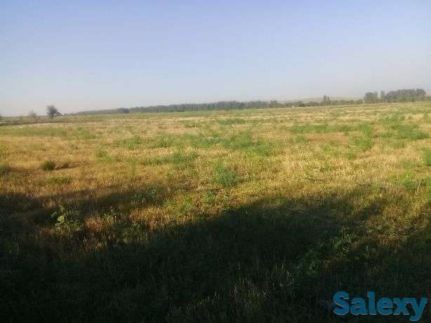 Продам земельный участок, фотография 7