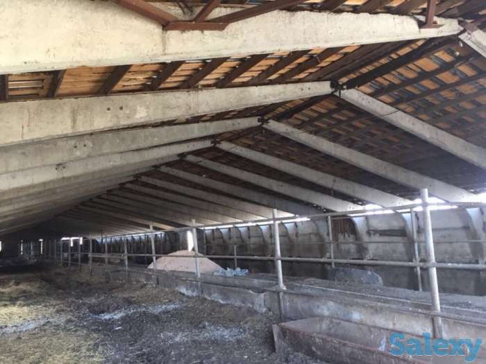 Продам животноводческую базу, С. Айдабол, фотография 3