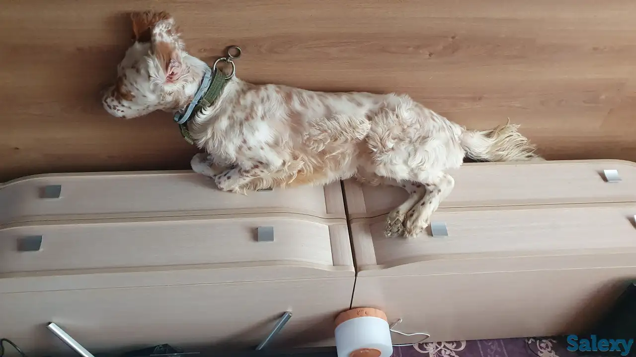 Продам, фотография 1