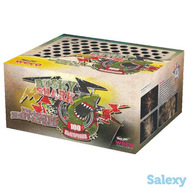 Салют Dusky Shark, фотография 1