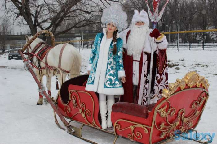 сани, карета, фотография 1