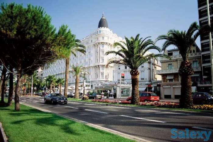 Выбрать недвижимость на Лазурном берегу Франции, фотография 4