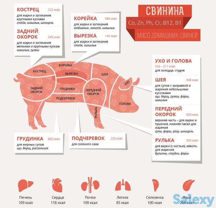 Свежее мясо свинины оптом и в розницу, фотография 2