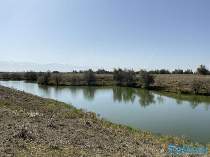 Продаю участок, ст Кайрат, фотография 1