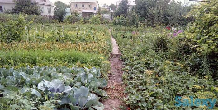 Дача в Асане ( Березка), фотография 1