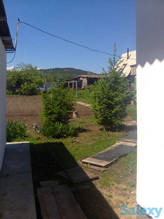 Новая Бухтарма, фотография 11