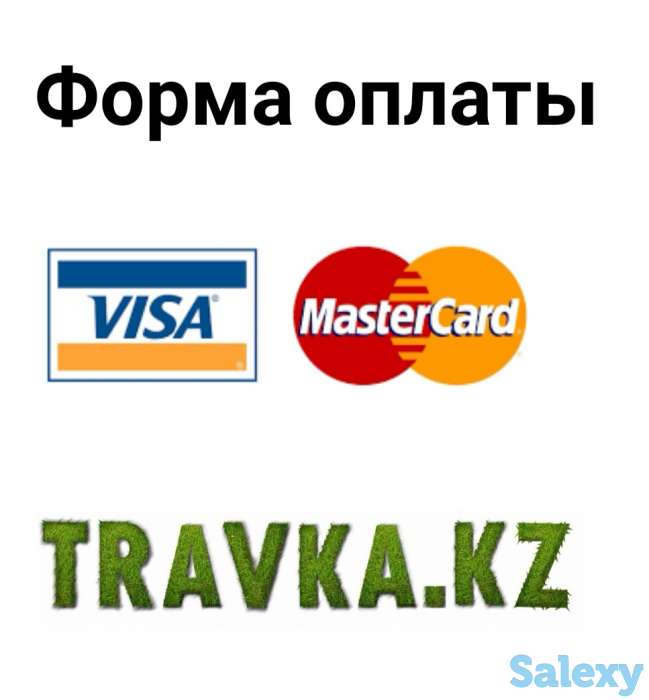 Семена газонных трав. Газон, фотография 7