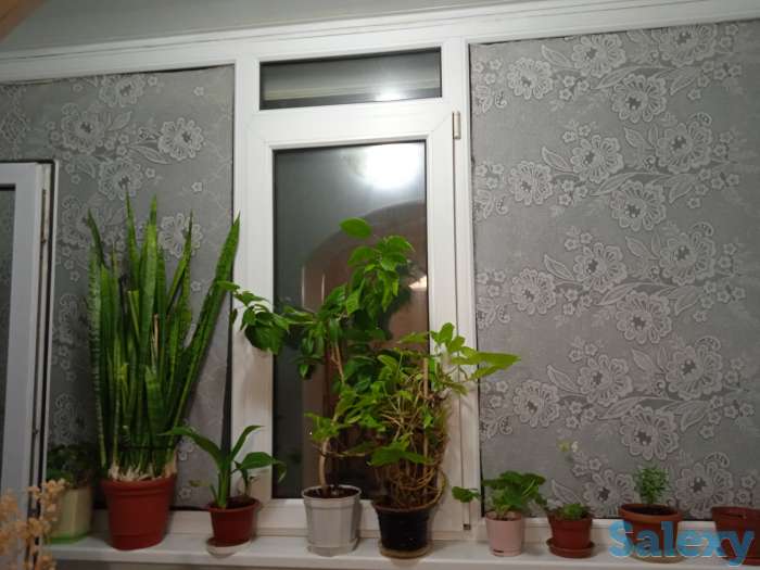 Продам 3-х комнатную квартиру, Гришина, фотография 4