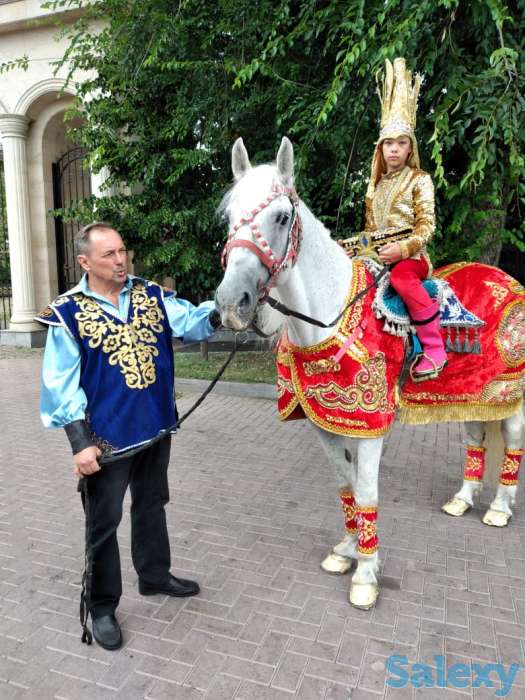 аренда коня, фотография 1