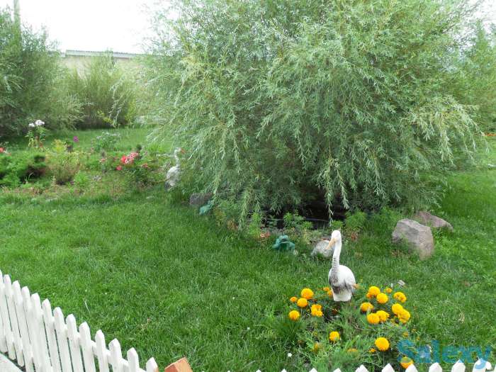 Отдых на озере Алаколь, фотография 6