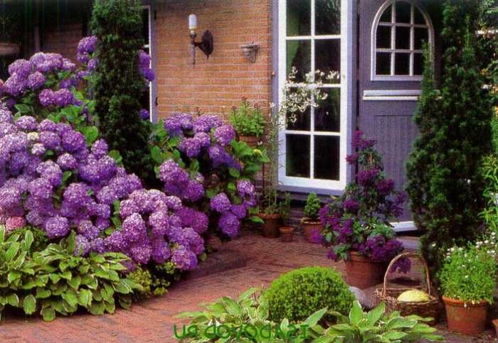 Озеленение, фотография 3