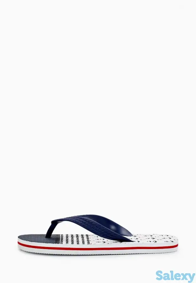 Сланцы t.taccardi, фотография 2