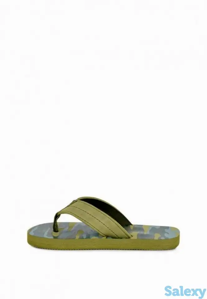 Сланцы t.taccardi, фотография 2