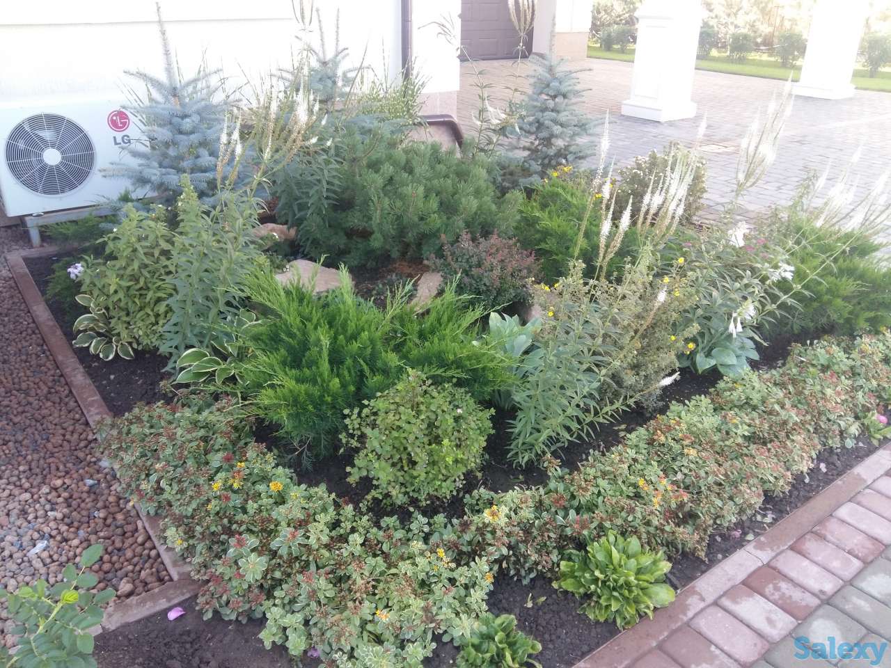 полив газона в астане, фотография 5