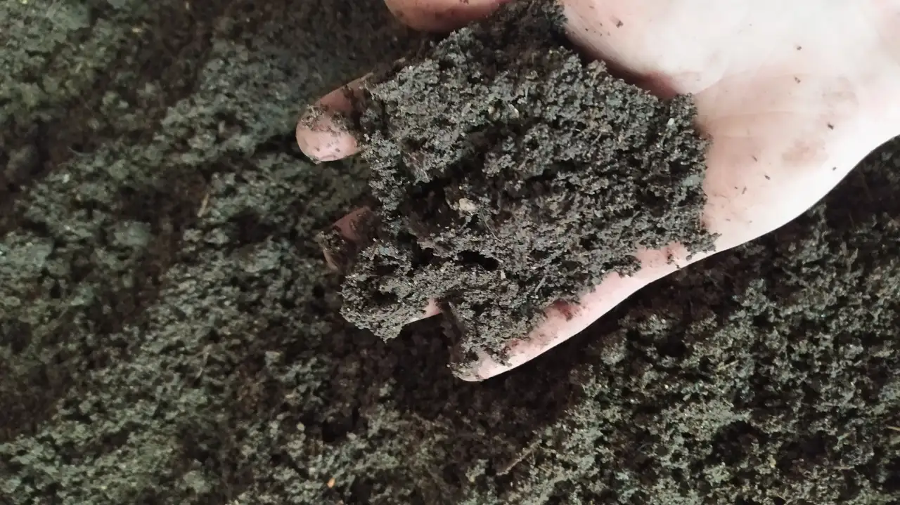 Вермикомпост - биогумус. Органическое удобрение, фотография 3