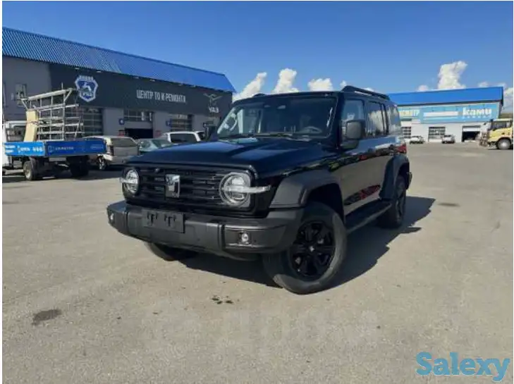 Подержанный автомобиль Tank 300, фотография 1