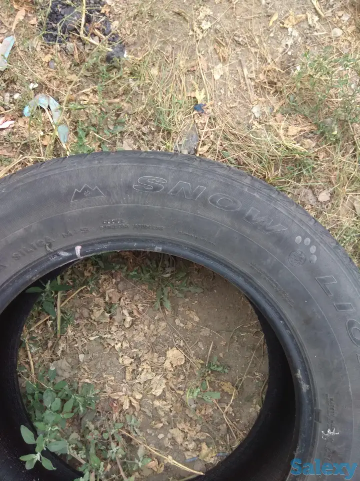 шины, фотография 3