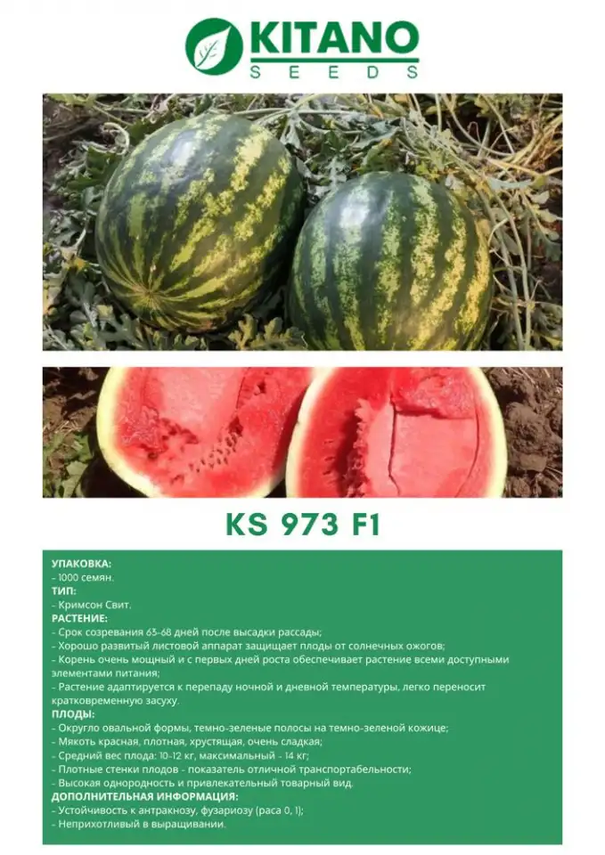 Продаем семена арбуза, фотография 12