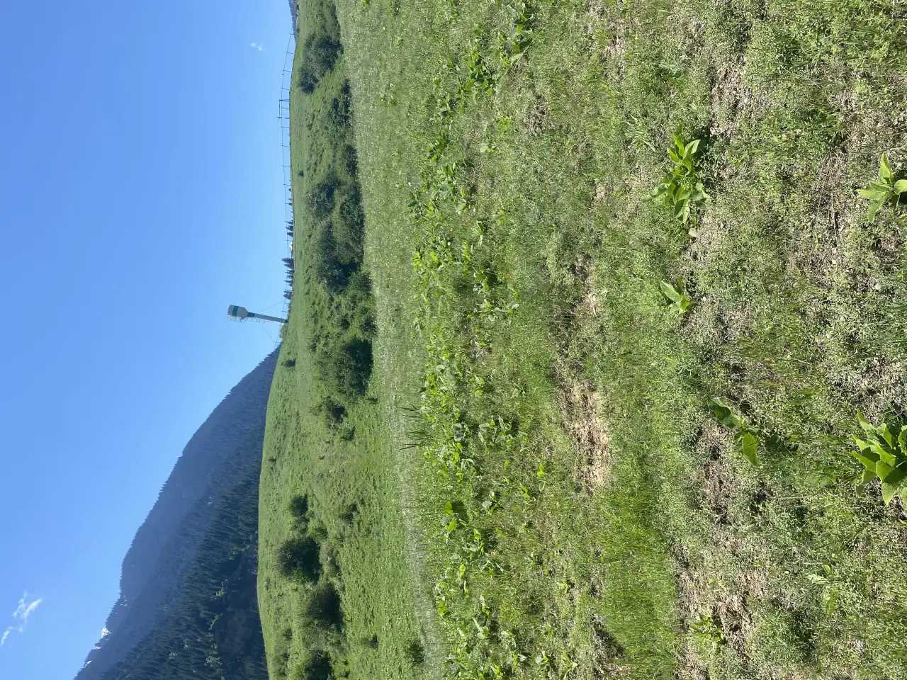 Участок 58 соток у озера колсай, Колсай, фотография 1