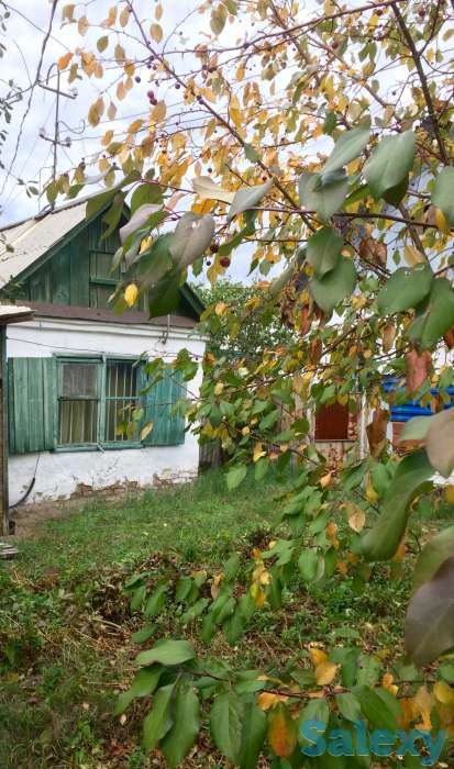 Продам дачу на восточном, фотография 8