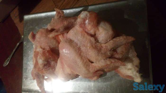 Крылья 600 тенге. Голени 700 тенге, фотография 1