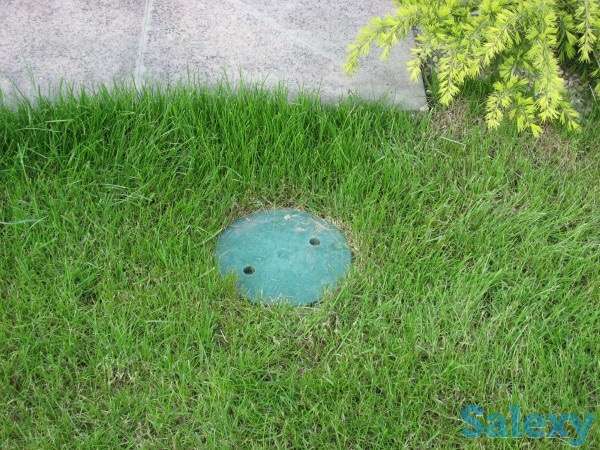 укладка газона, фотография 2