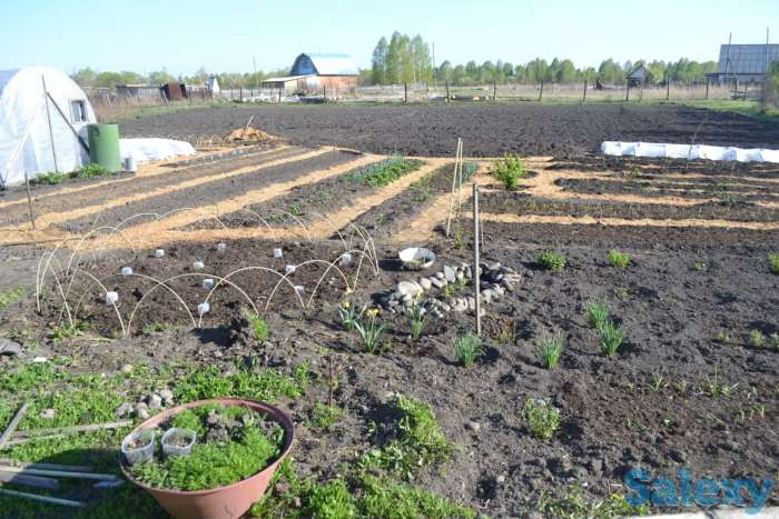 Продам дом Алтайском край, Смоленский район, фотография 5