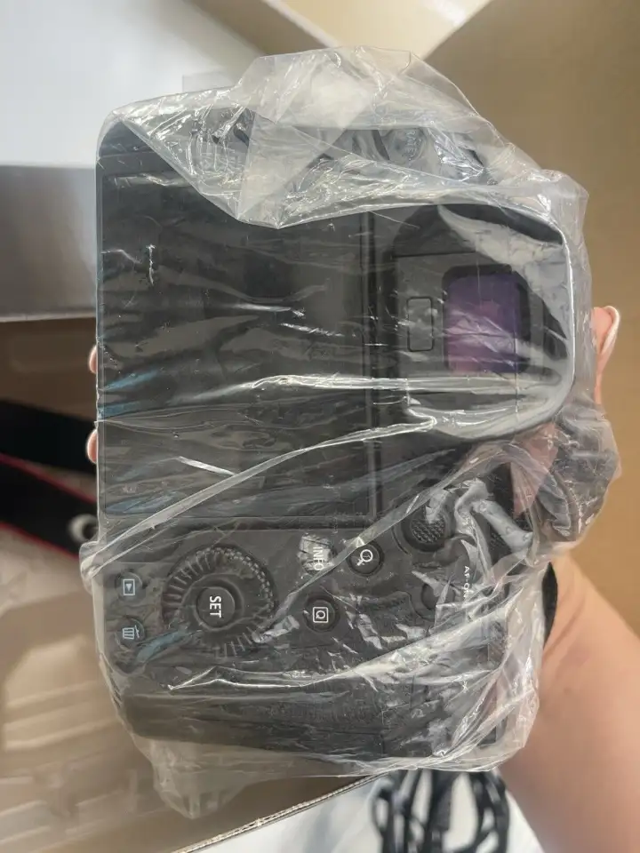 Беззеркальная камера Canon EOS R6 Mark II, фотография 6