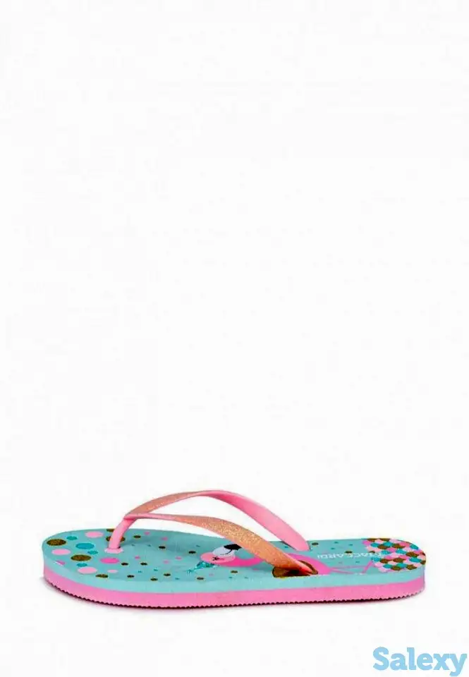 Сланцы t.taccardi, фотография 2