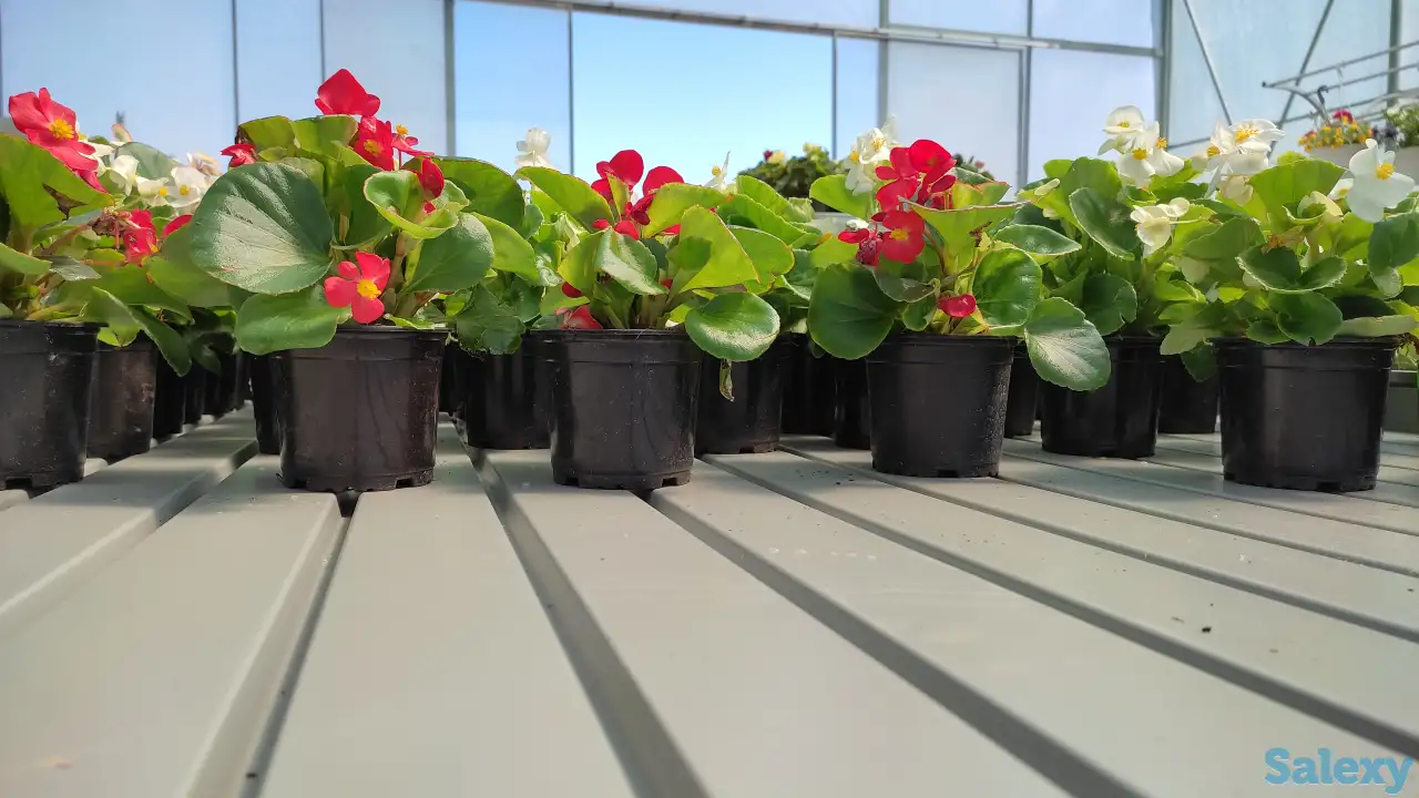 Поддоны для гидропоники, фотография 1