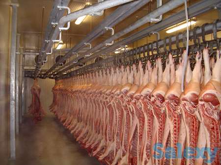 Промышленное холодильное, климатическое оборудование, фотография 1