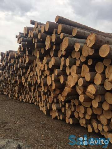 Обрезной и необрезной пиломатериал. Брус. Доска, фотография 1