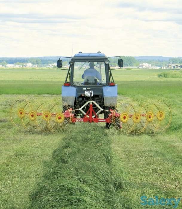 Грабли Ворошилки 4-х 5-ти 8-ми Колесные, фотография 5