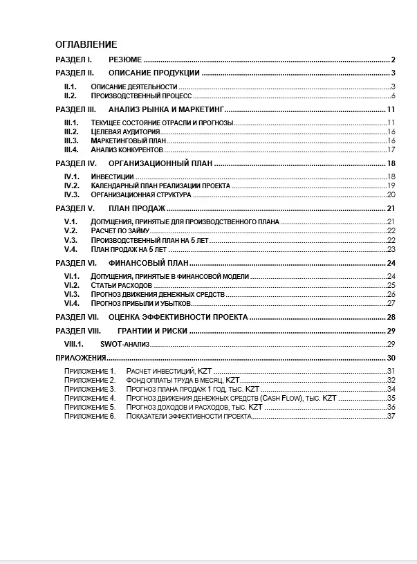 Бизнес план. Финансовая модель, Даму, ТЭО, инвестиционный проект, фотография 3