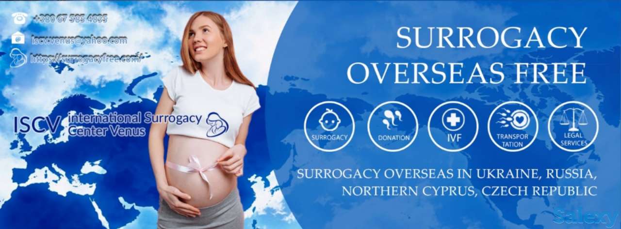 Срочно! В международную компанию ISCV, фотография 1