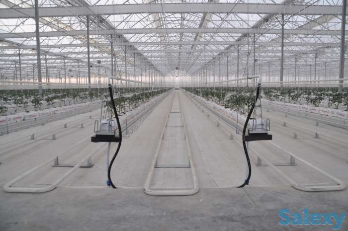 Современная турецкая теплица под ключ. Есть 4 варианта теплицы., фотография 6