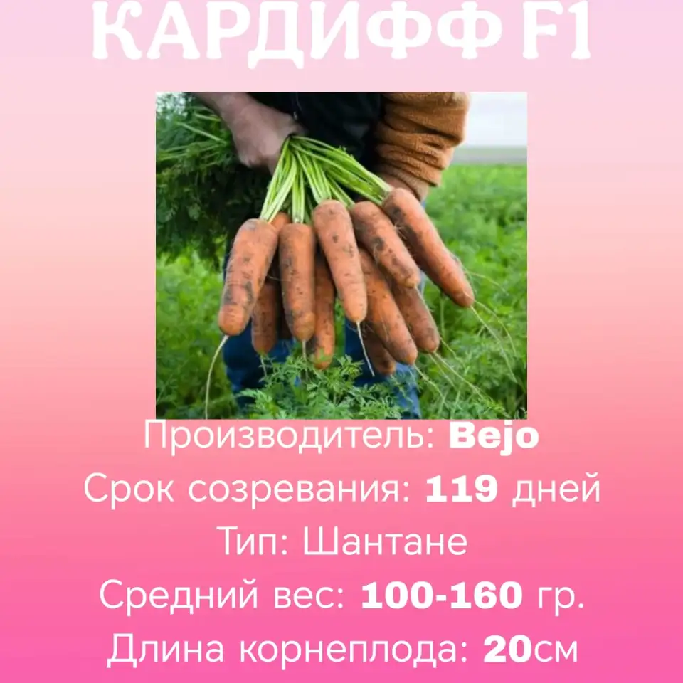 Марковь, фотография 1