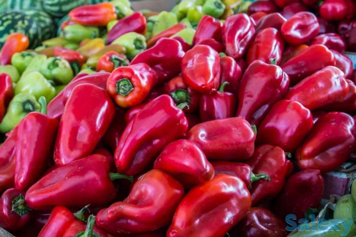 Продам рассаду перца., фотография 1