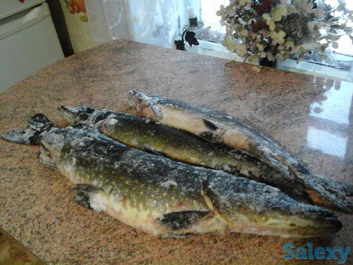 зимний дом в красивейшем месте новгородской области, фотография 8