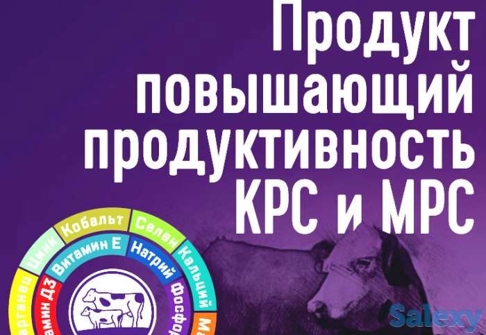 Надёжная защита здоровья быков, коров и овец, фотография 1