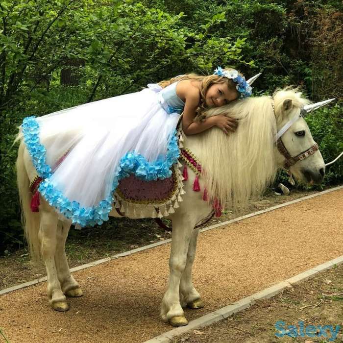 Конь белый, фотография 6