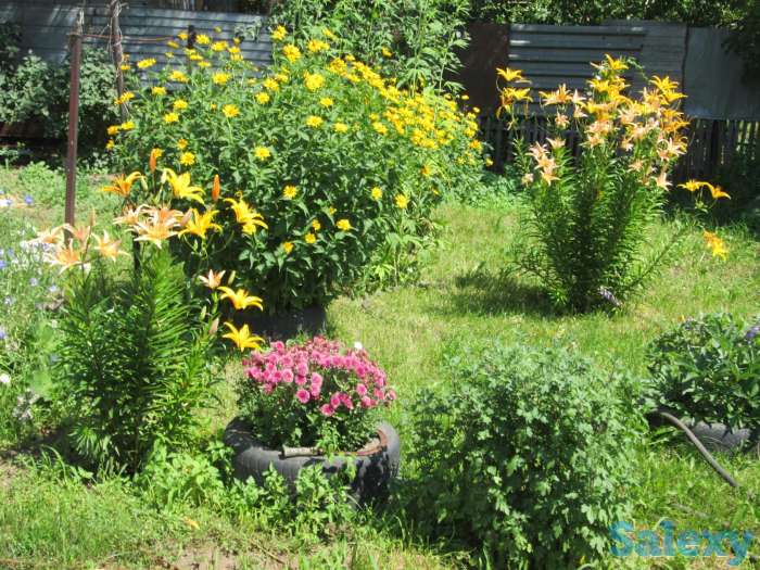 Дом, с.Сосновый Бор Клановая 16, фотография 5