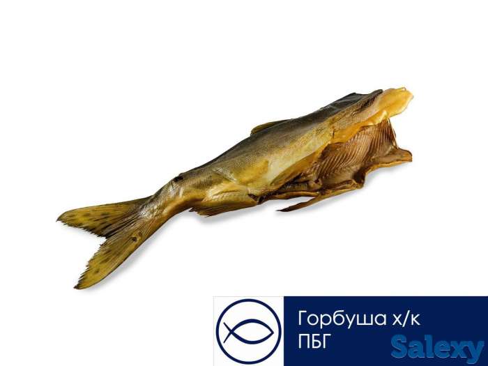 Копченая рыба / Вяленая рыба / Соленая рыба, фотография 1