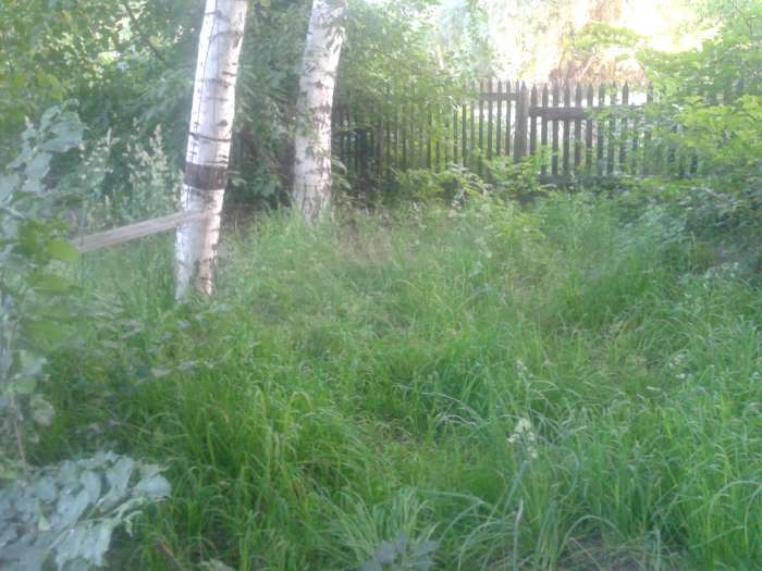 дом, Железняка, фотография 4