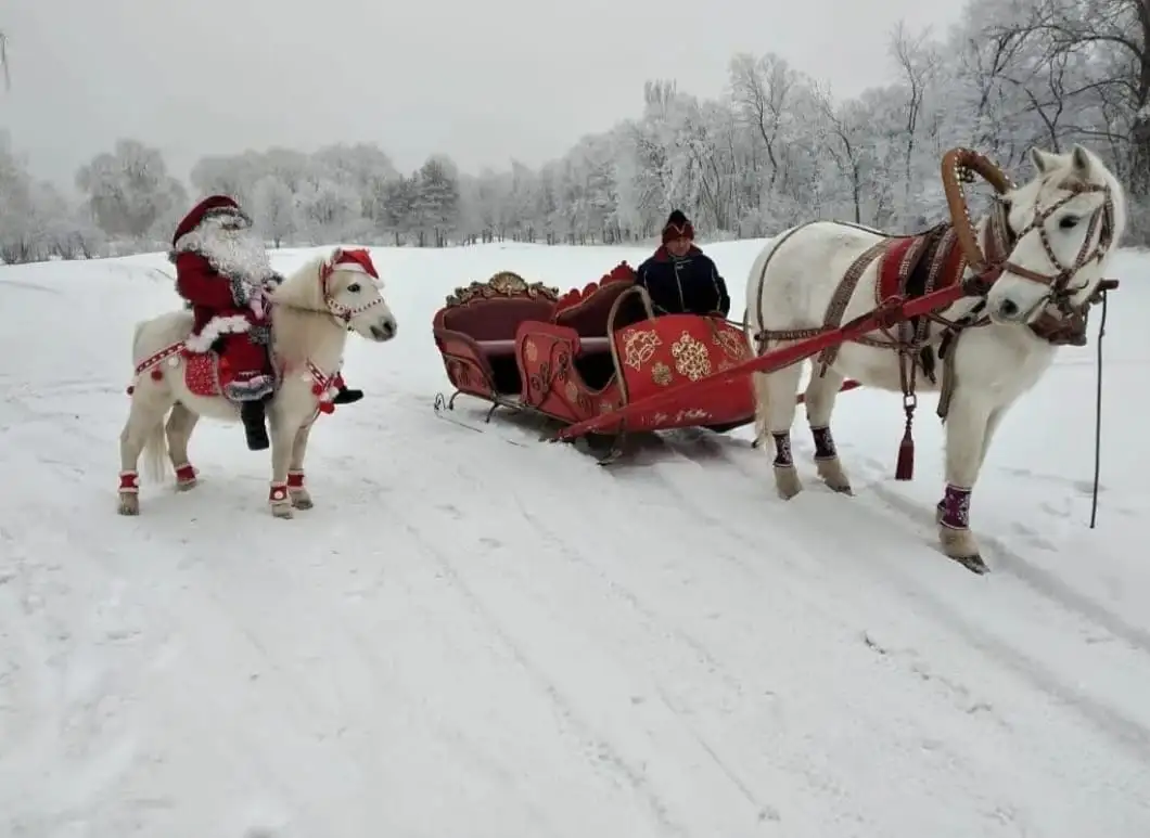 продам сани большие под лошадь, фотография 3