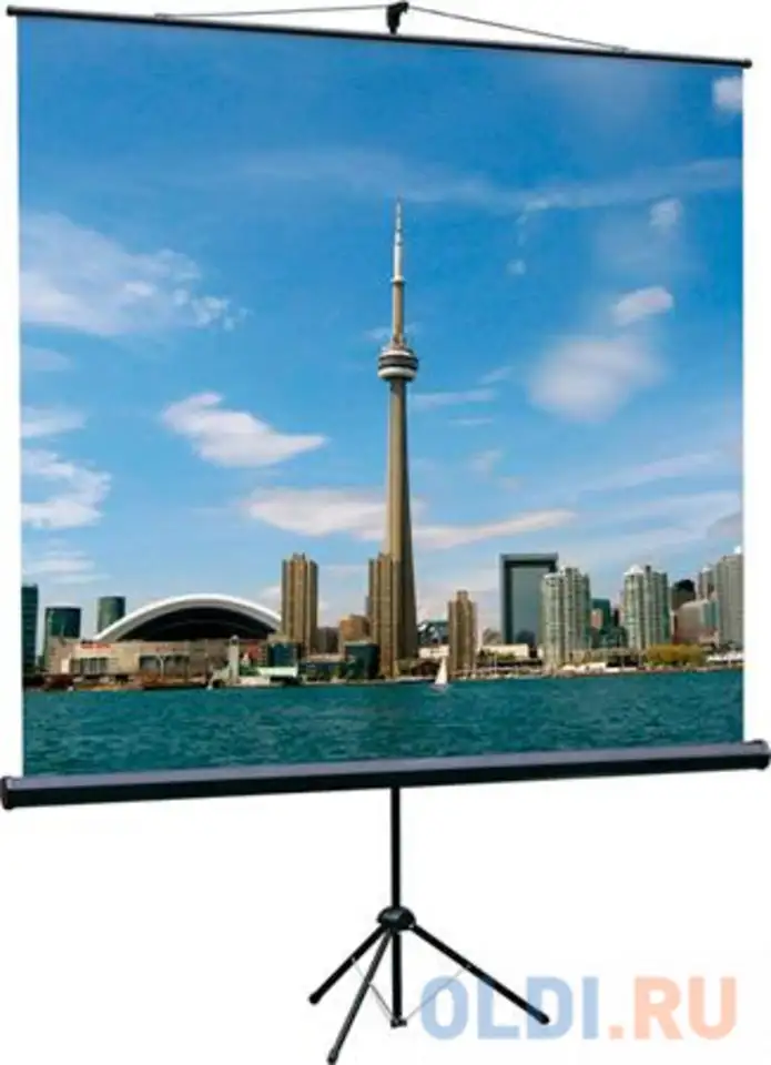 [lev-100102] экран на штативе lumien eco view 180x180 см matte white, фотография 1