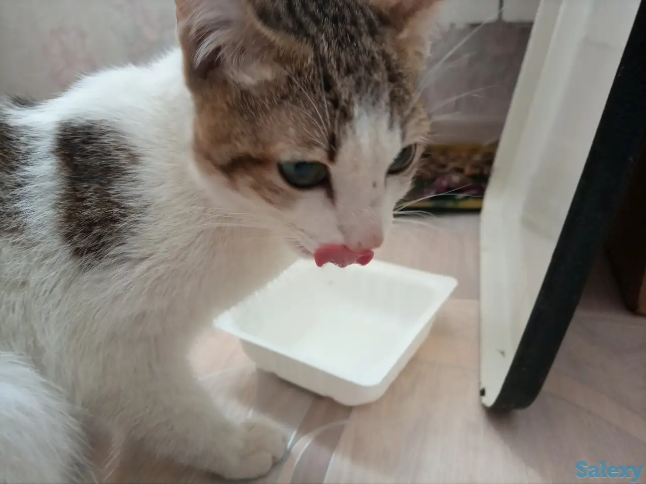 Сегодня мне повезло. Помогите еще раз, фотография 1