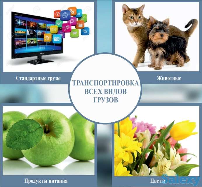 AIR FREIGHT – организация перевозки вашего груза авиатранспортом, фотография 2